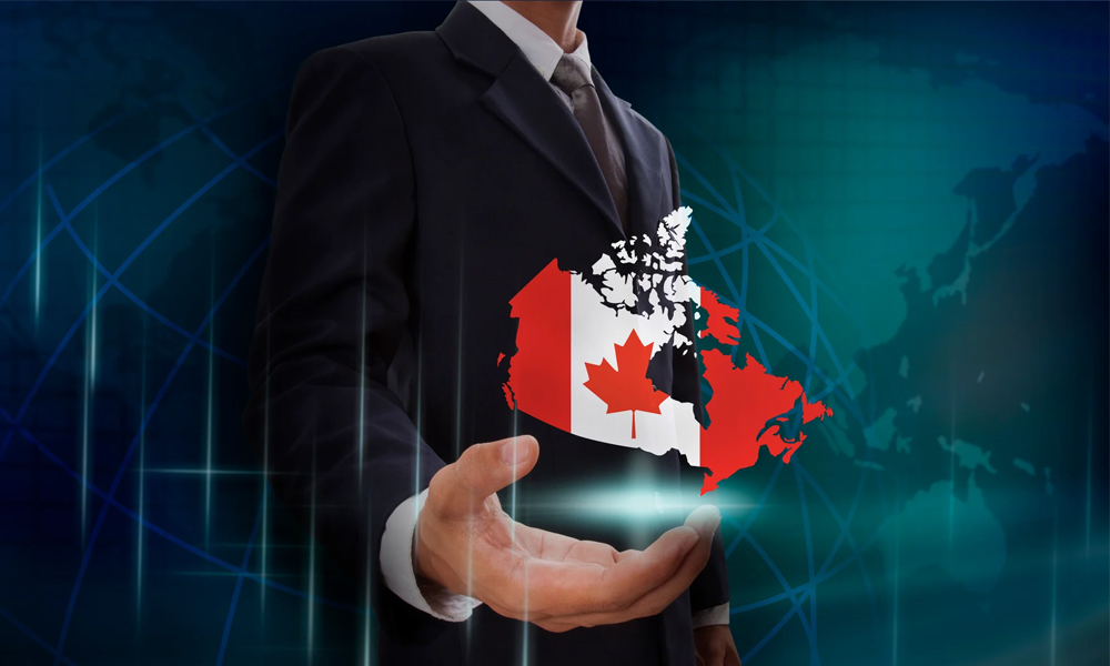 ایده تجاری کسب و کار کانادا| فینیک